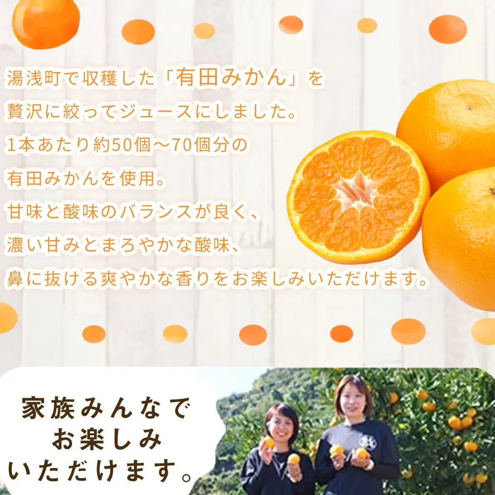 「まごころ」有田みかん 100％ ジュース 1000ml 2本_ZE6368n