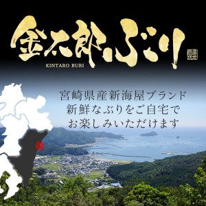 鰤屋金太郎【冷蔵】ぶりスキンレスロイン1500g N018-YB828-1