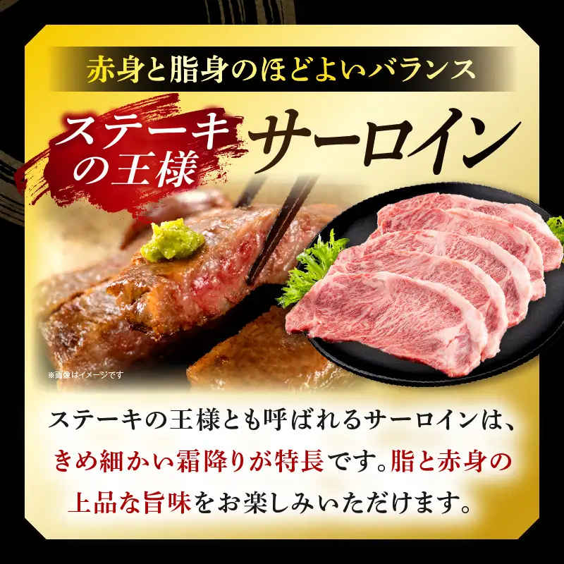 牛肉 ステーキ 牛肉[宮崎牛 サーロイン 1kg]