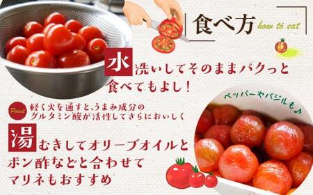 【2026年夏】飛騨高山産 有機栽培 トマト「彩り トマト」 1kg |  JC007