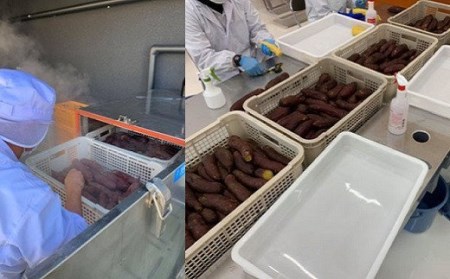 2026年9月内発送 干し芋「ほしいもの百貨」べにはるか 切り落とし (200g×6袋) K1939
