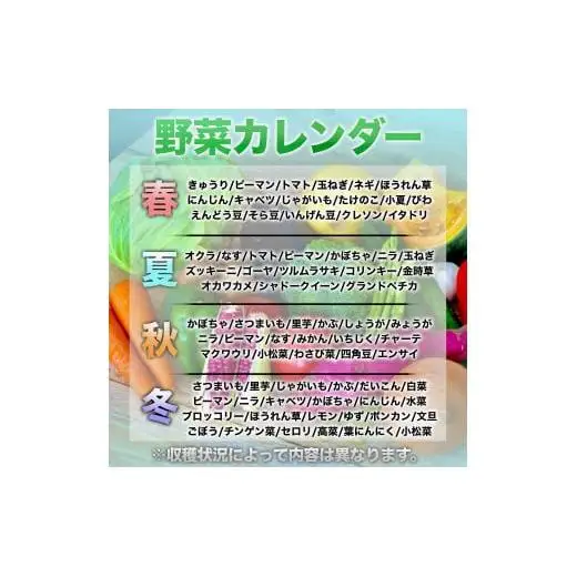 【 野菜 】 野菜定期便 12ヶ月