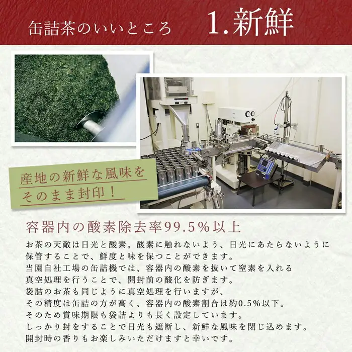 【予約品】2027年産新茶 八女茶100％ 「八十八夜新茶」 100g缶詰×6 ＜岩崎園製茶＞｜2027年5月初旬頃発送 お茶 缶 お茶缶 縁起物 贈り物 075-047