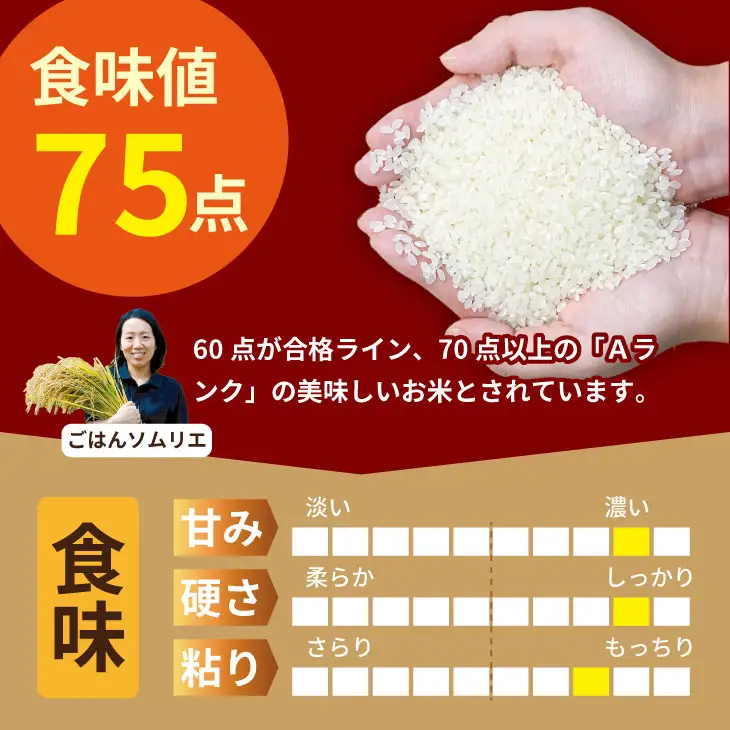 佐賀ブランド米  さがびより （5kg）肥前糧食 B140-059 