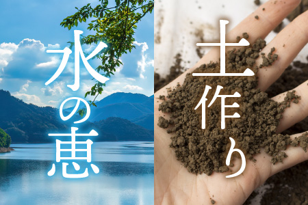 【令和7年産】【有機栽培】エコファーマー認定農家栽培 コシヒカリ5kg（白米） [A-001034]