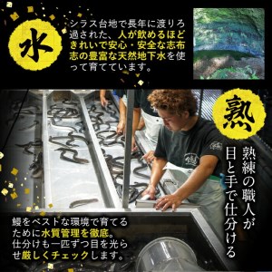 秘伝のスタミナ鰻かば焼き・白焼きセット b0-119