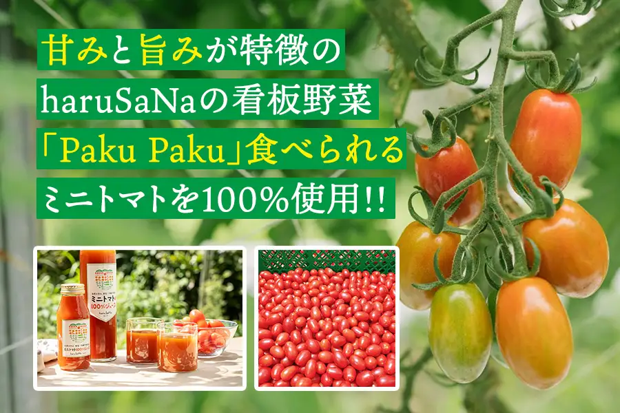 無添加　ミニトマト100％ジュース　180ml×5本/岩手県矢巾町産 トマトジュース ミニトマト 自然の恵み 無添加 甘い あまい 美味い健康志向 フルーツ 自家栽培 野菜 料理 人気 お取り寄せ