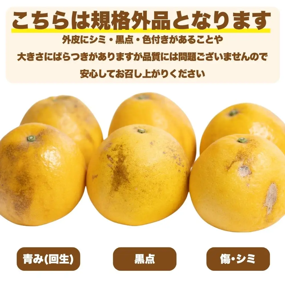 【先行予約:2027年4月下旬～順次発送】訳あり 河内晩柑 5kg 愛南ゴールド 河内晩柑 蜜柑 みかん Mikan 愛南フルーツ 愛媛 愛南