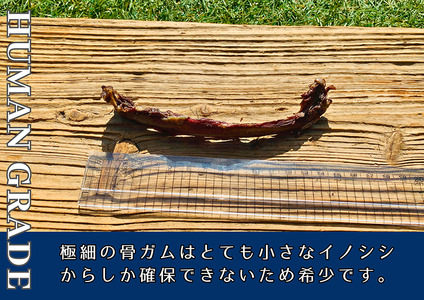 FB170_超小型犬向け☆天然いのししの骨ガム100g【定期便】全6回