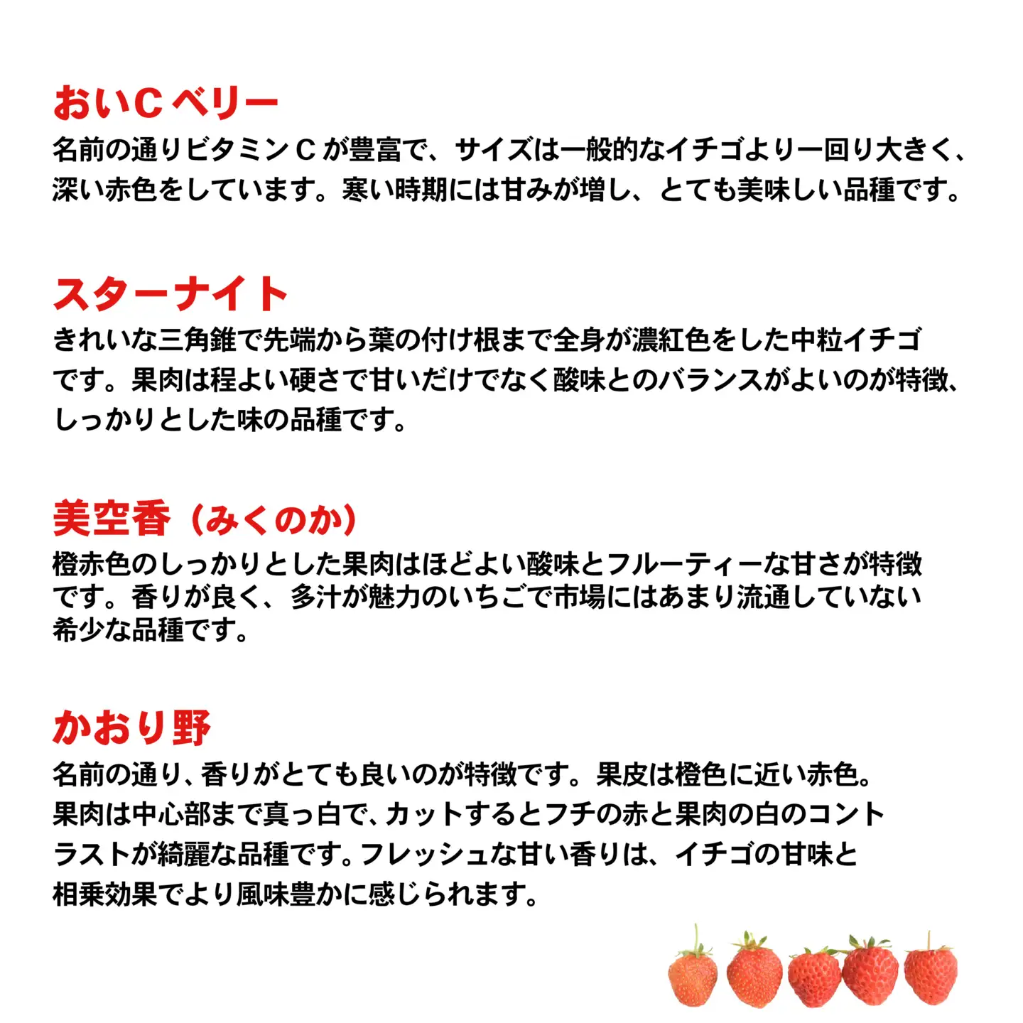 いちご 食べ比べ 4パック 【1月中旬から発送】いちご AJ002ya