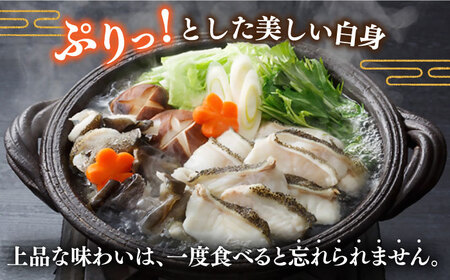 【12回定期便】五島産養殖クエ鍋400g（鍋 あごだしスープ付うどん付） 五島市/五島ヤマフ[PAK015] 冷凍 お取り寄せ くえ 切り身 アラ 五島うどん スープ 鍋 刺身