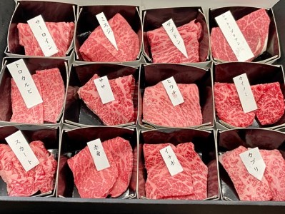 黒毛和牛 焼肉 希少部位12種盛 計600g 焼肉
