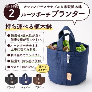 はじめての家庭菜園キット「サラダガーデン」（プランター色：ブラック）011BK01N.／レタス 苗 サラダ野菜 苗 プランター ガーデニング 野菜 栽培 ベランダ菜園 野菜苗 培土 園芸