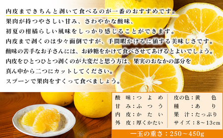 【先行予約】＜無茶々園のジューシーフルーツ（河内晩柑）約3kg＞果物 かわちばんかん みかん ミカン 蜜柑 柑橘 期間限定 季節限定 食べて応援 特産品 愛媛県 西予市 【常温】『2027年4月上旬～6月上旬迄に順次出荷予定』AMC0008