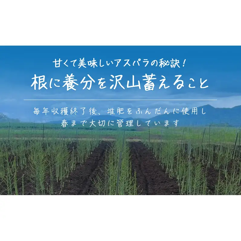 ［武田農園とれたて直送］2027年春～発送 グリーンアスパラ 2L 1kg やわらかくて抜群にあまい！北海道 富良野産 (アスパラガス アスパラ 野菜 新鮮 産地直送 先行予約 限定)