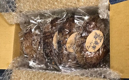 ハンバーグ 海風堂特製 牛肉100% ジューシー ハンバーグ【4個】【6ヵ月定期便】