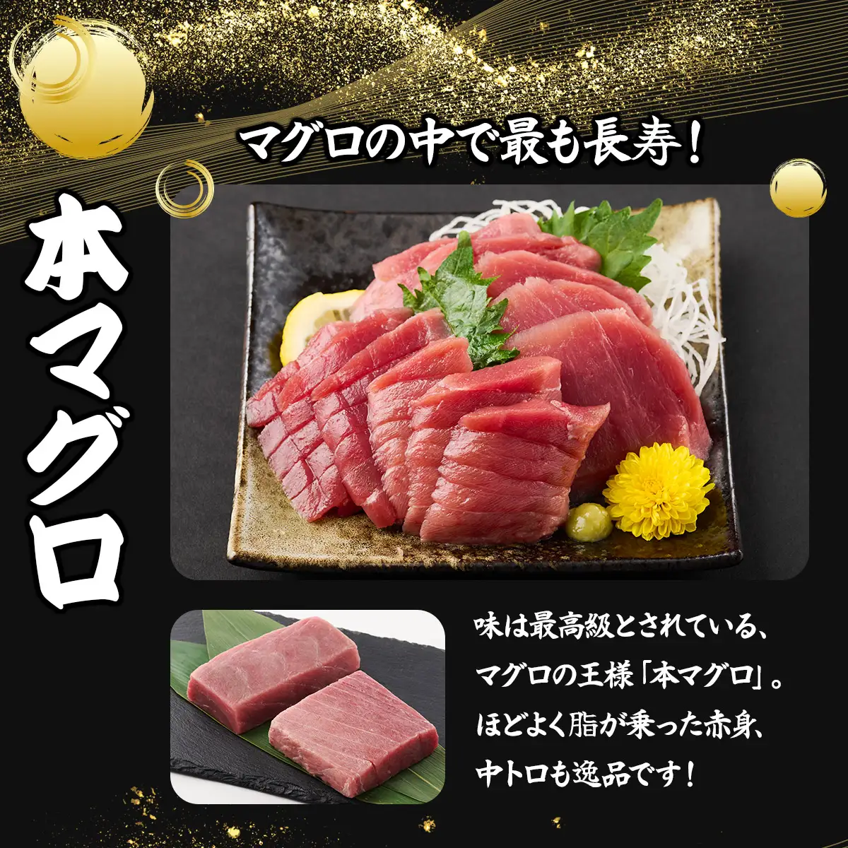厳選本マグロ赤身、中トロ食べくらべ【誉丸】 【まぐろ】mh016