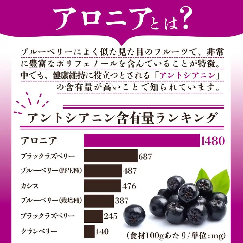 [5525-0345]北海道伊達大滝産アロニアセットD