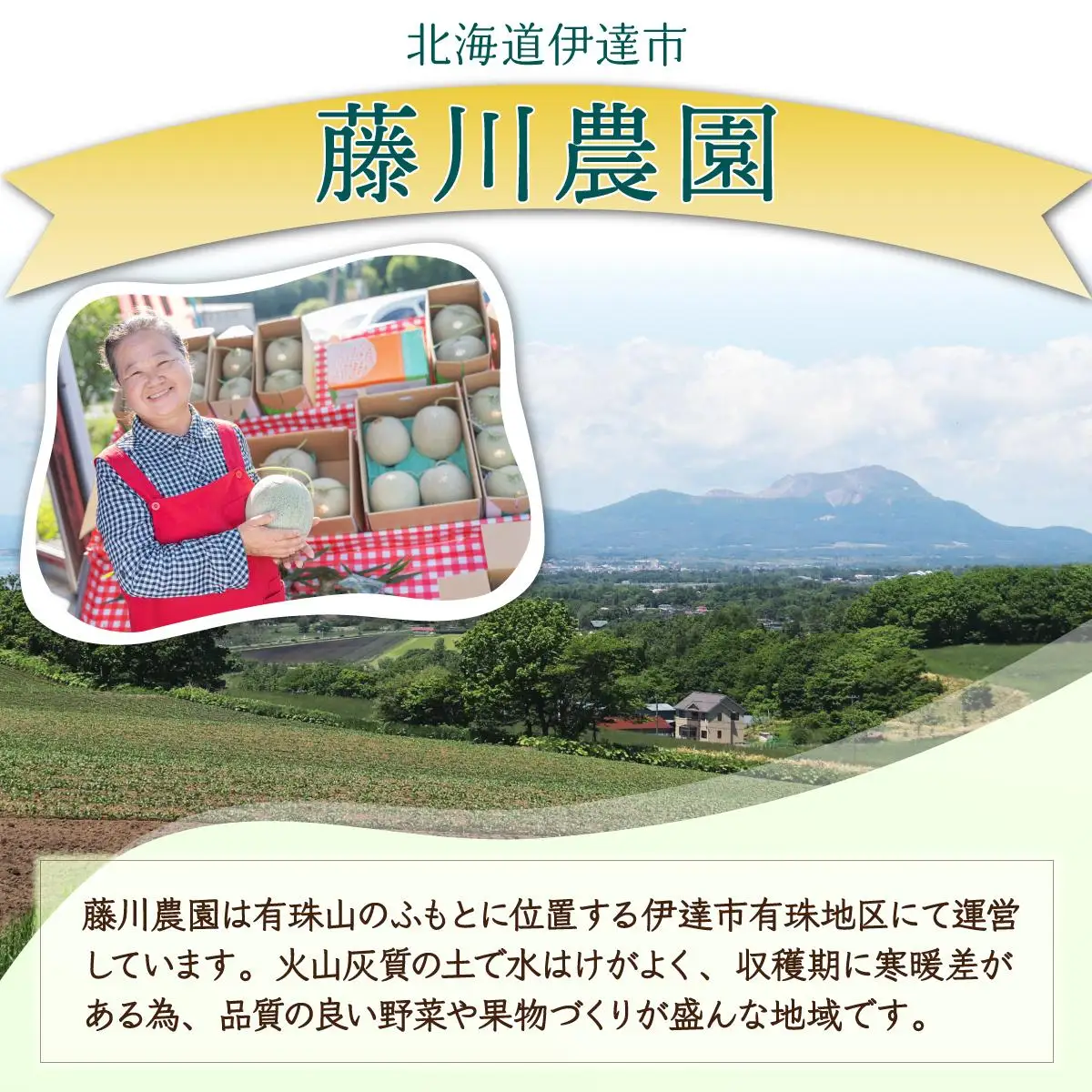 【2027年先行予約】北海道産 有珠メロン 2玉 セット 青肉 Lサイズ 1.6kg以上×2玉【55250476】