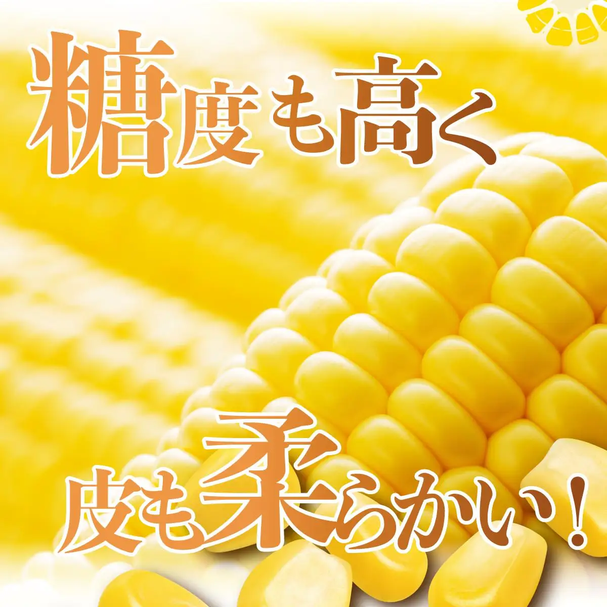 ＜2026年先行予約＞北海道産 朝もぎ とうもろこし 恵味 L-LLサイズ 約400g×10本 スイートコーン ゴールドコーン トウモロコシ とうきび コーン 旬 完熟 野菜 甘い おやつ 産地直送 お取り寄せ 北海道 藤川農園 送料無料 伊達 55250480