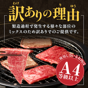【訳あり】宮崎牛焼肉バラエティおためし500g（宮崎牛 ブランド牛 牛肉 ） 