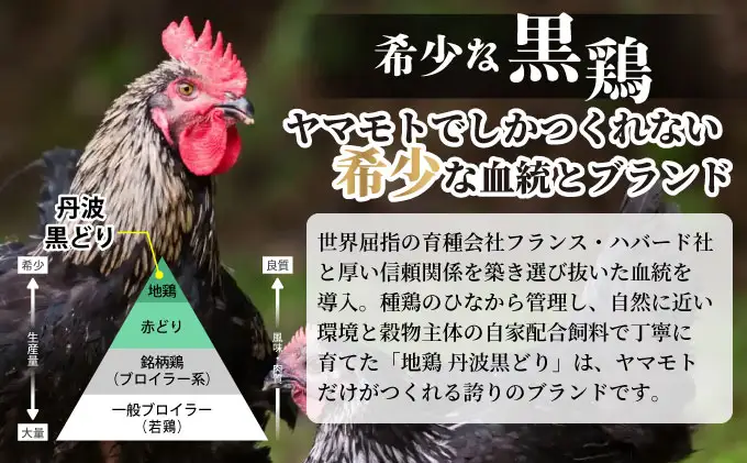 鶏肉 地鶏丹波黒どり ムネ肉 6kg（2kg×3パック）訳あり鶏肉