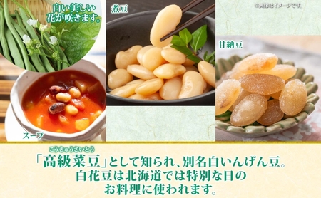 白花豆 北海道 洞爺湖町産 高級菜豆 白花豆【500g×2袋 計1kg】
