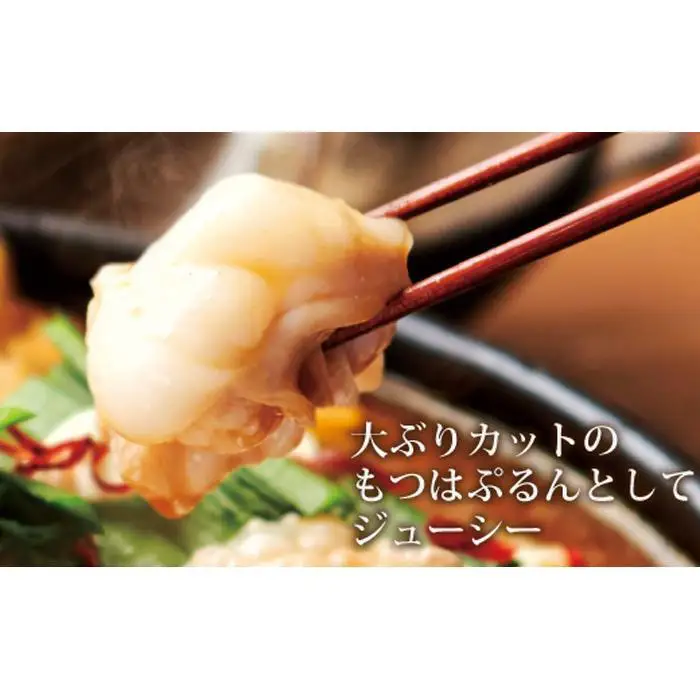 やまや 博多もつ鍋 あごだし 醤油味（1-2人前）｜もつ鍋