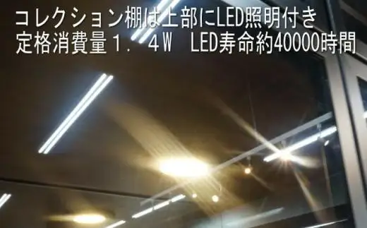 ヴァール 40cm幅 アルミ枠ガラス戸コレクション収納棚