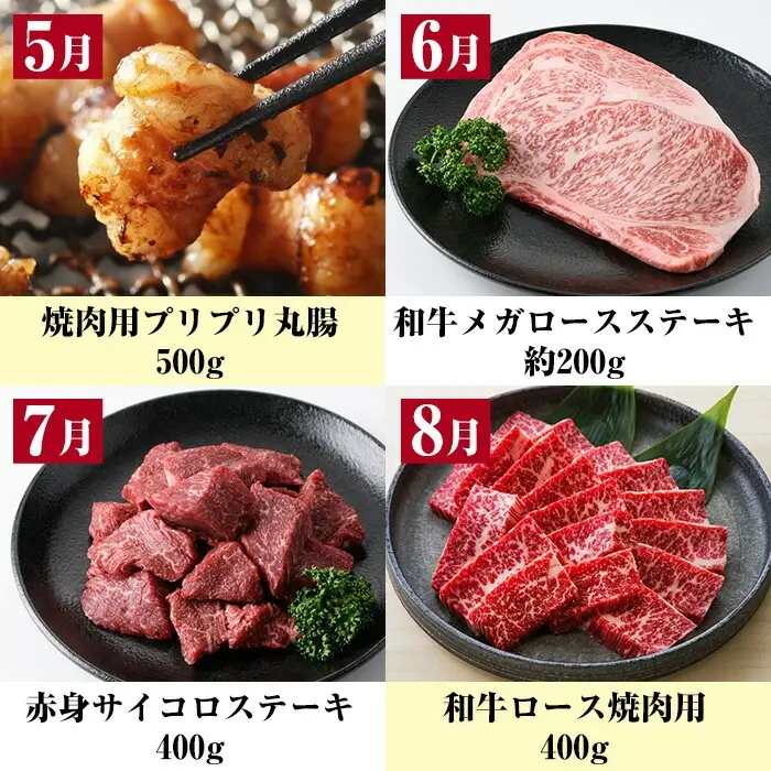 【ふるなびWEEK対象】【12か月定期便】鹿児島県産 黒毛和牛 セット 定期便 12回 黒毛和牛【00-030-13-TKFN】