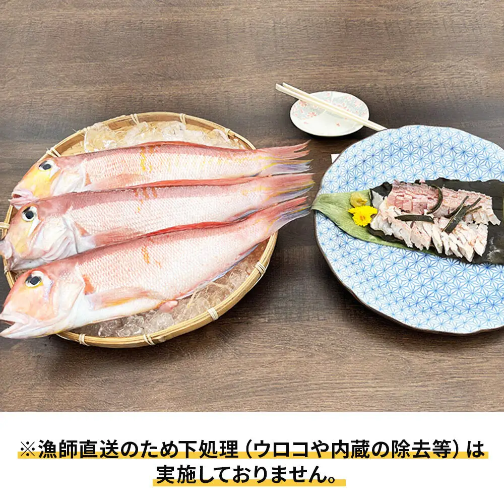 漁師直送 甘鯛（あまだい）1kg＋おまかせ鮮魚 秋田県産【下処理なし】