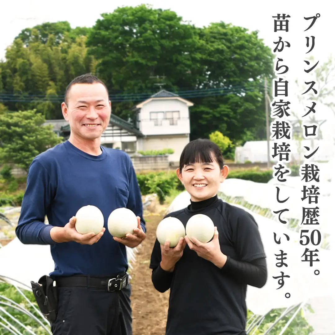 【先行予約】 メロン プリンスメロン 茨城県産 5kg 7~8玉 農家直送 果物 初夏