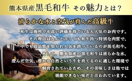 熊本県産 黒毛和牛ヒレステーキ 合計400g(200g×2P) A4A5厳選