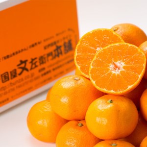 田村みかん/9kg　秀品【大玉サイズ】｜湯浅町田村地区産 産地直送 最高級プレミアムブランドの田村ミカン 紀伊国屋文左衛門本舗