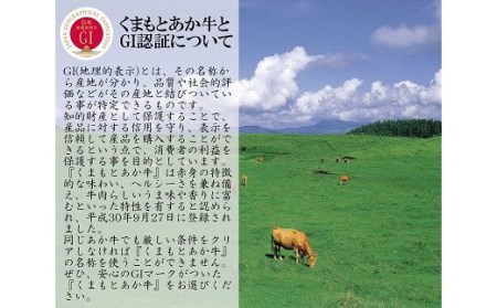 熊本県産 GI認証取得 くまもとあか牛 切り落とし 合計2kg
