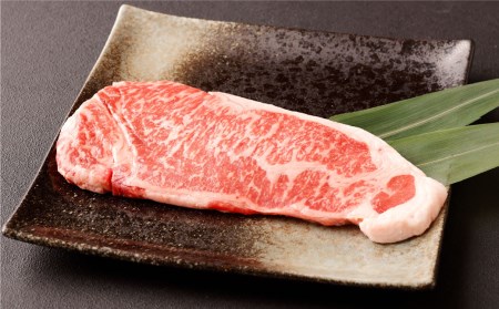 【定期便3ヶ月】あか牛サーロイン肉1kg（5枚～6枚）馬刺し600g （赤身・霜降り・たてがみ） 食べ比べセット