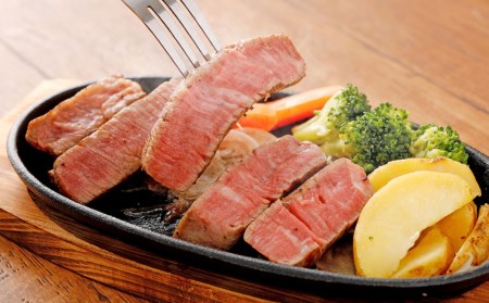 あか牛 ヒレ肉 1kg（5枚～6枚）馬刺し 600g （赤身・霜降り・たてがみ） 食べ比べセット