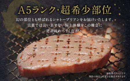 【数量限定】【超希少部位】熊本県産 黒毛和牛 A5ランク 高級 ヒレステーキ シャトーブリアン 100g×5枚セット 計500g