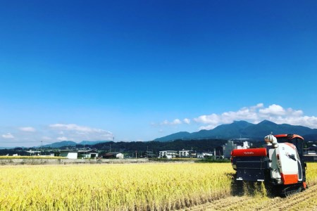 出生体重米 おいしい お米 コシヒカリ 精米 ギフト プレゼント 贈り物 お祝い