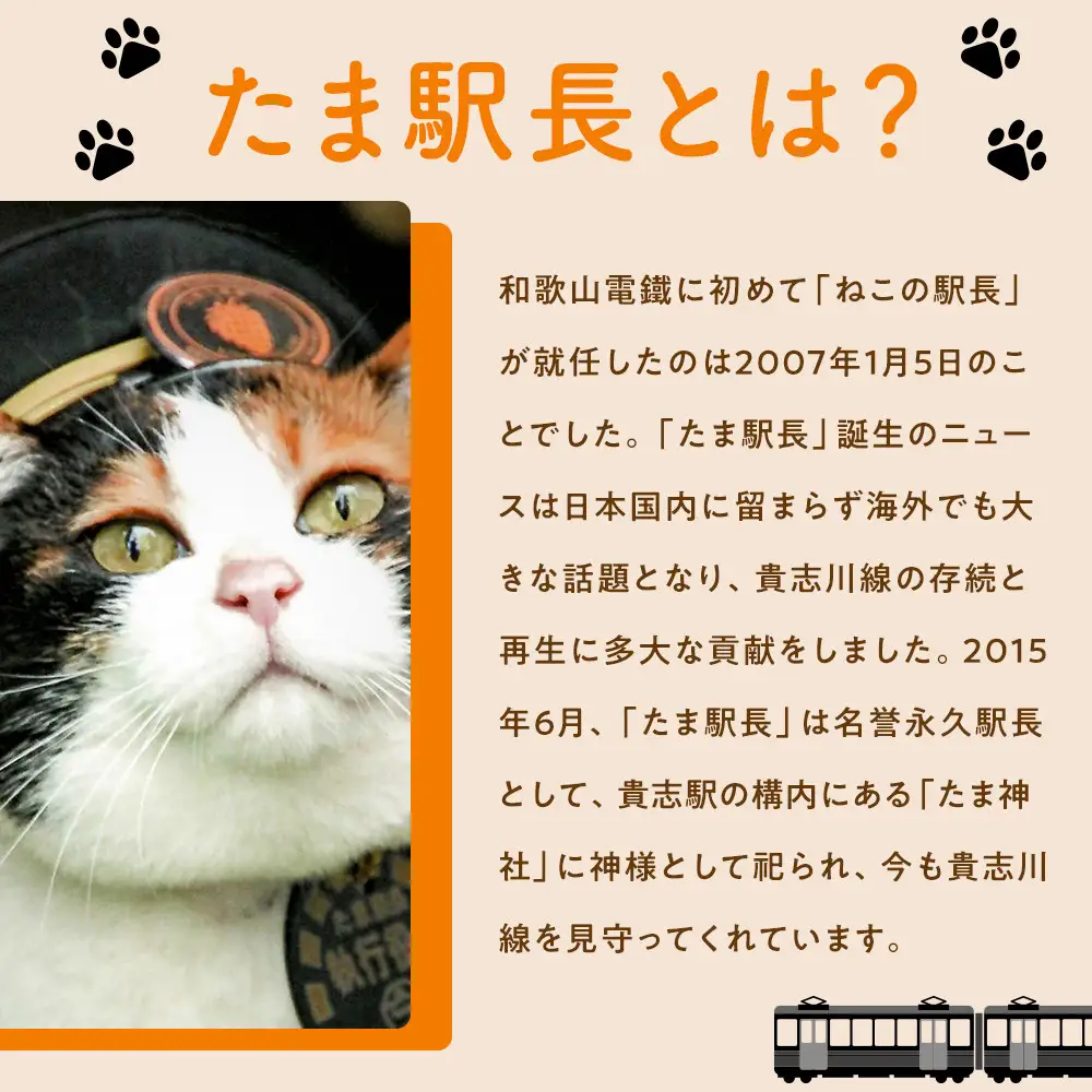 ニタマ駅長Tシャツ＜S＞・たまニタマクリアファイルセット