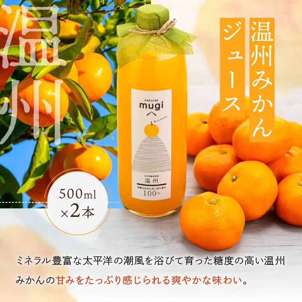 無添加・果汁100％わかやまジュースのじかん　500ｍｌセット