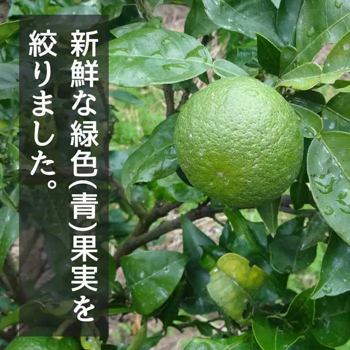 青搾りじゃばらストレート果汁 360ml×2本セット
