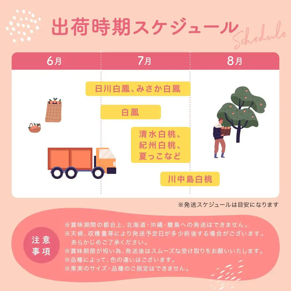 ［農園直送］朝採れ和歌山の桃　約2kg・秀品★2027年6月下旬頃～8月上旬頃順次発送★［TM167］
