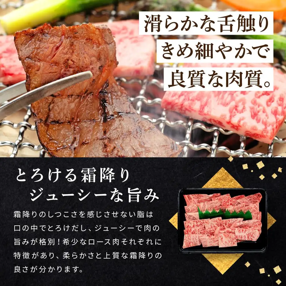 和歌山産 高級和牛『熊野牛』ロース盛合せ焼肉 約500g【EG16】