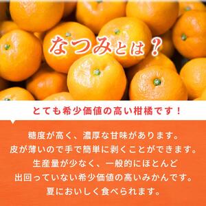初夏のみかん なつみ 5kg［先行予約］［2027年4月中旬より発送］［UT57］