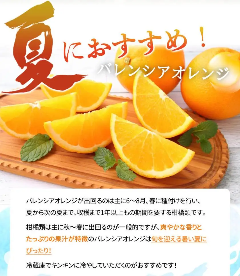 秀品 希少な国産バレンシアオレンジ 5kg［2027年6月下旬頃～2027年7月上旬頃に順次発送］［UT76］
