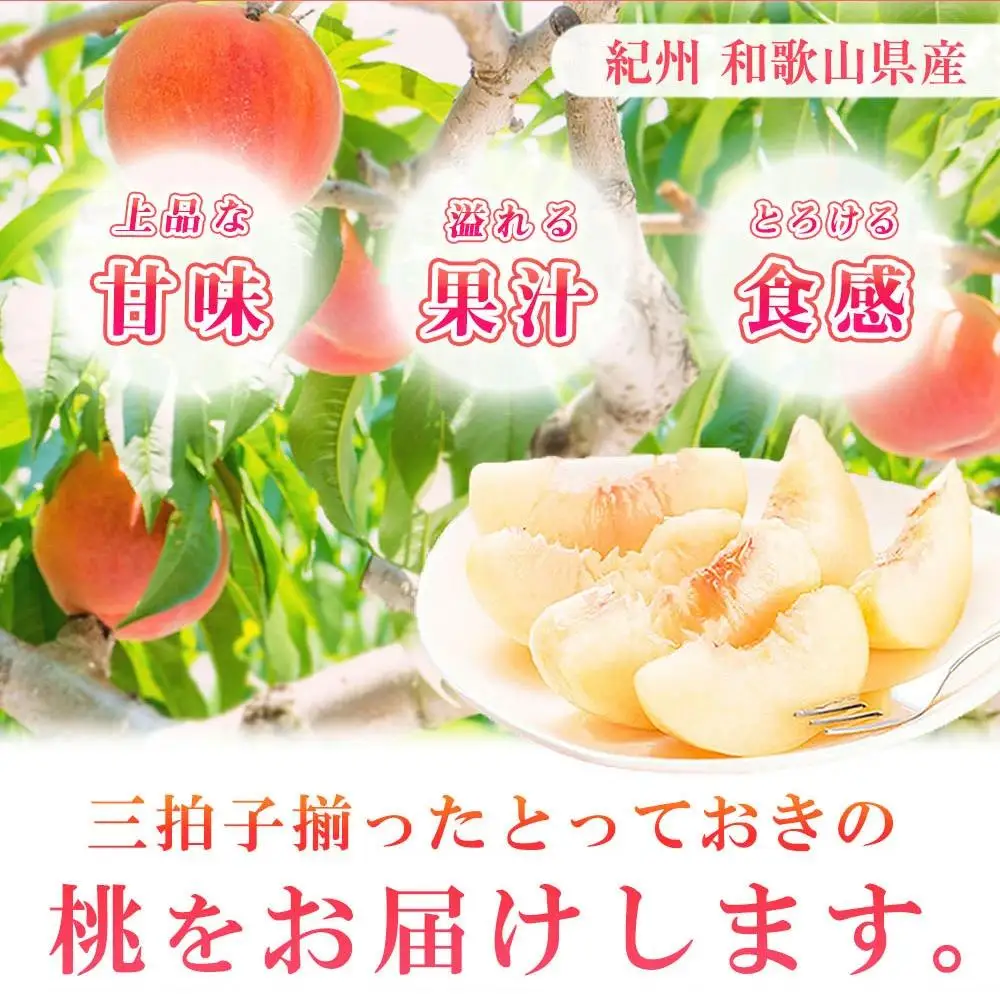 秀品 紀州和歌山産の桃 約4kg　化粧箱入［2027年6月下旬より順次発送］［UT106］
