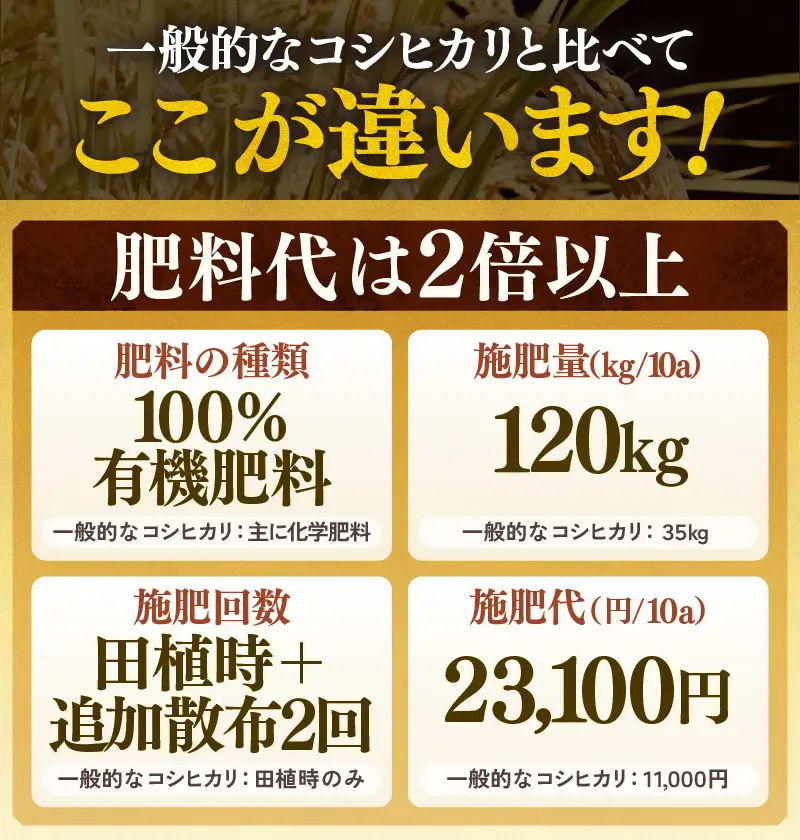 【先行予約】【令和8年産 新米】コシヒカリ 玄米 5kg×2袋（計10kg） 特別栽培米 農薬不使用 化学肥料不使用 ／ 残留農薬ゼロ 高品質 鮮度抜群 福井県産 ブランド米 ※2026年9月下旬より順次発送予定 [aw063-c008]
