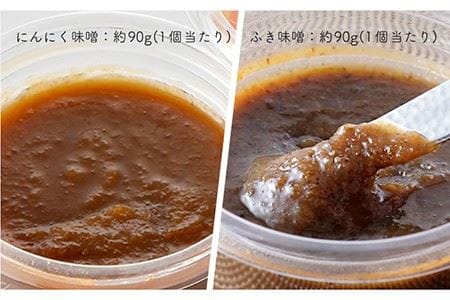 【春限定！大人気 万能調味料と夢のコラボ！】国産 にんにく味噌・ふき味噌 10個セット【野下上絵】 [LE10]
