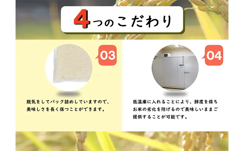 【定期便／全3回】無洗米 魚沼産こしひかり2合×10袋